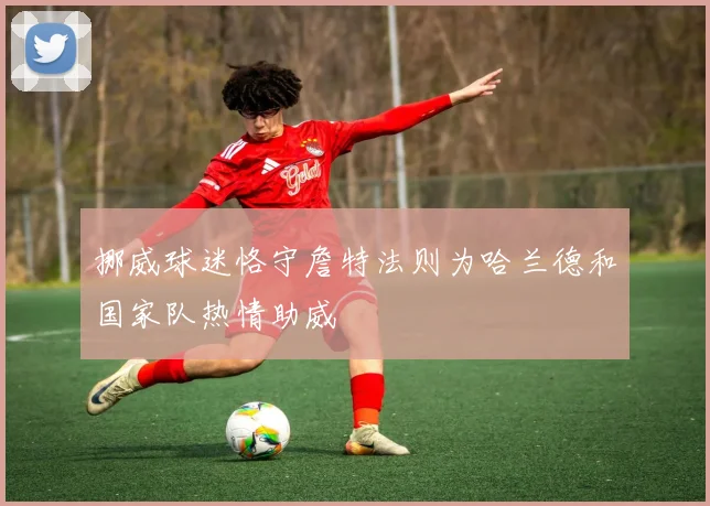 挪威球迷恪守詹特法则为哈兰德和国家队热情助威