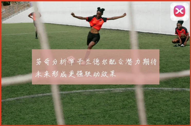 芬奇分析华子兰德尔配合潜力期待未来形成更强联动效果